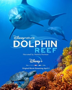 Watch Dolphin Reef movies free hd online