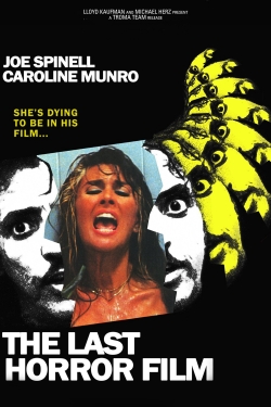 Watch The Last Horror Film movies free hd online