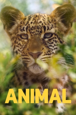 Watch Animal movies free hd online