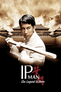 Watch The Legend Is Born: Ip Man movies free hd online