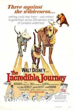 Watch The Incredible Journey movies free hd online