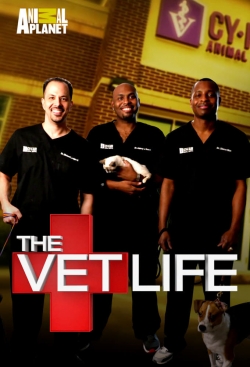 Watch The Vet Life movies free hd online