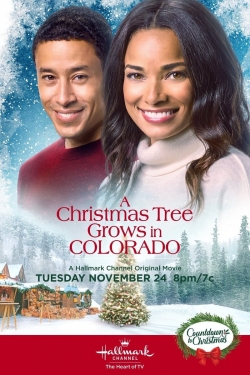 Watch A Christmas Tree Grows in Colorado movies free hd online