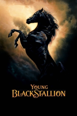 Watch Young Black Stallion movies free hd online