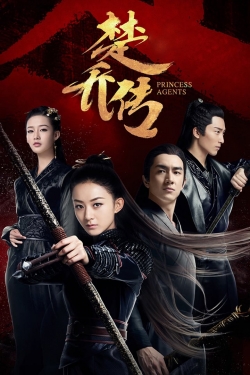 Watch Princess Agents movies free hd online