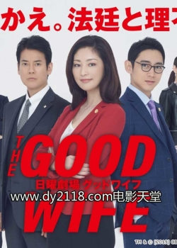 Watch The Good Wife movies free hd online