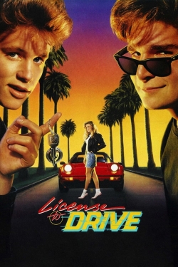 Watch License to Drive movies free hd online