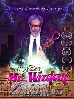 Watch The Mysterious Mr. Wizdom movies free hd online