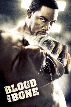 Watch Blood and Bone movies free hd online