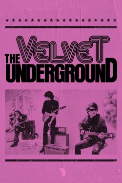 Watch The Velvet Underground movies free hd online