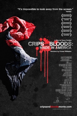 Watch Crips and Bloods: Made in America movies free hd online