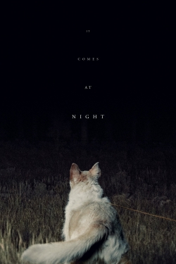 Watch It Comes at Night movies free hd online