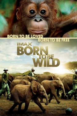 Watch Born to Be Wild movies free hd online