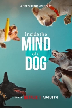 Watch Inside the Mind of a Dog movies free hd online