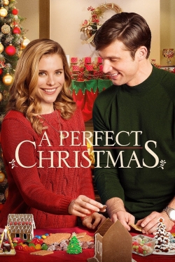 Watch A Perfect Christmas movies free hd online