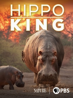 Watch Hippo King movies free hd online