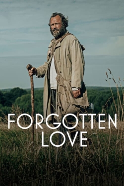 Watch Forgotten Love movies free hd online