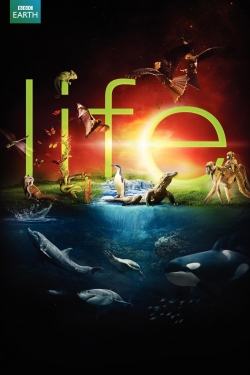 Watch Life movies free hd online