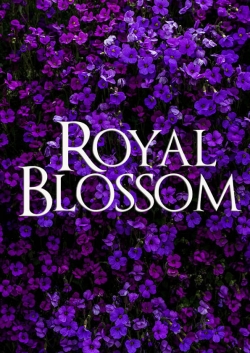 Watch Royal Blossom movies free hd online