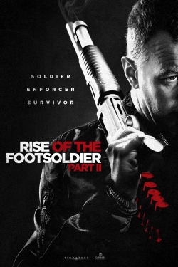 Watch Rise of the Footsoldier Part II movies free hd online