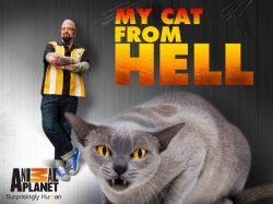 Watch My Cat from Hell movies free hd online