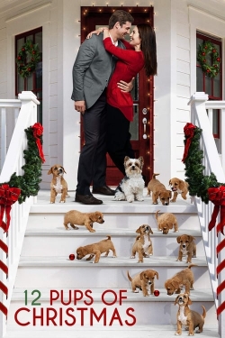 Watch 12 Pups of Christmas movies free hd online
