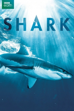 Watch Shark movies free hd online