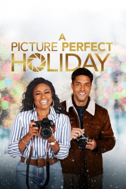 Watch A Picture Perfect Holiday movies free hd online