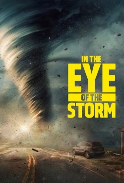 Watch In the Eye of the Storm movies free hd online