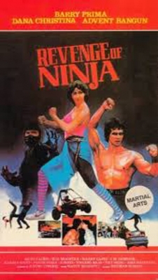 Watch Revenge of the Ninja movies free hd online