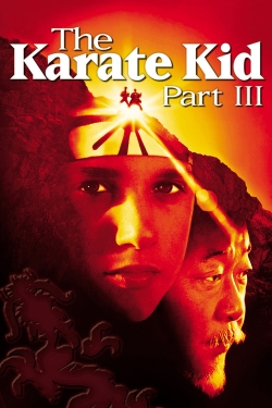 Watch The Karate Kid Part III movies free hd online