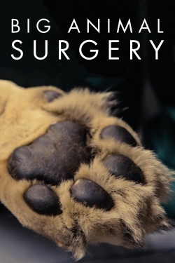 Watch Big Animal Surgery movies free hd online