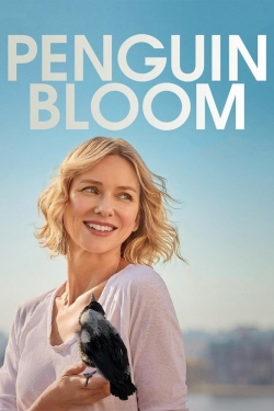 Watch Penguin Bloom movies free hd online