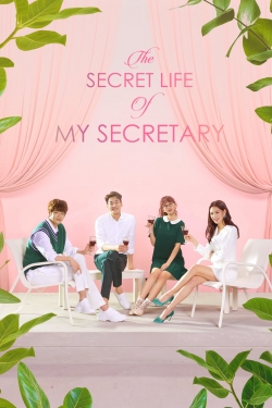 Watch The Secret Life of My Secretary movies free hd online