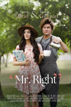 Watch Mr. Right movies free hd online