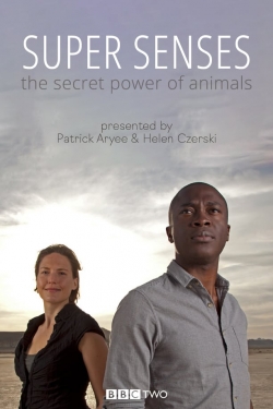 Watch Super Senses: The Secret Power of Animals movies free hd online