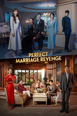 Watch Perfect Marriage Revenge movies free hd online