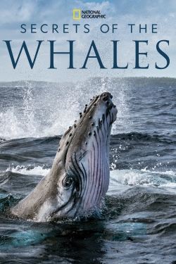 Watch Secrets of the Whales movies free hd online