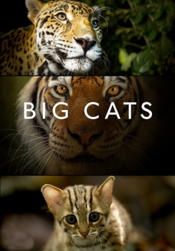 Watch Big Cats movies free hd online