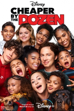 Watch Cheaper by the Dozen movies free hd online