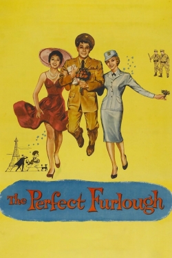 Watch The Perfect Furlough movies free hd online