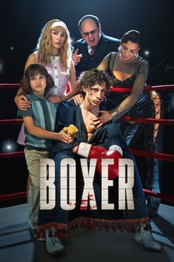 Watch Boxer movies free hd online