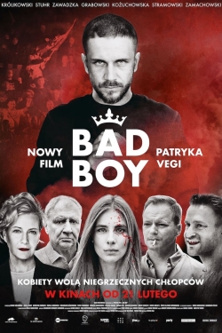 Watch Bad Boy movies free hd online