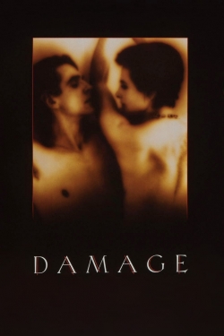 Watch Damage movies free hd online