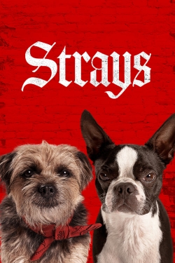 Watch Strays movies free hd online