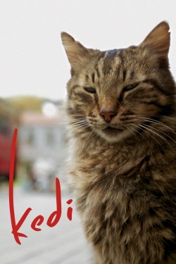 Watch Kedi movies free hd online