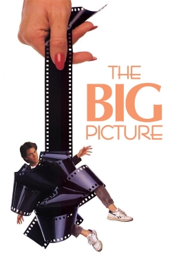 Watch The Big Picture movies free hd online