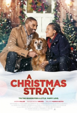 Watch A Christmas Stray movies free hd online