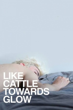 Watch Like Cattle Towards Glow movies free hd online