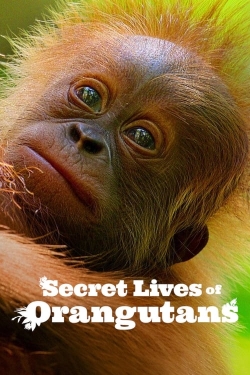 Watch Secret Lives of Orangutans movies free hd online